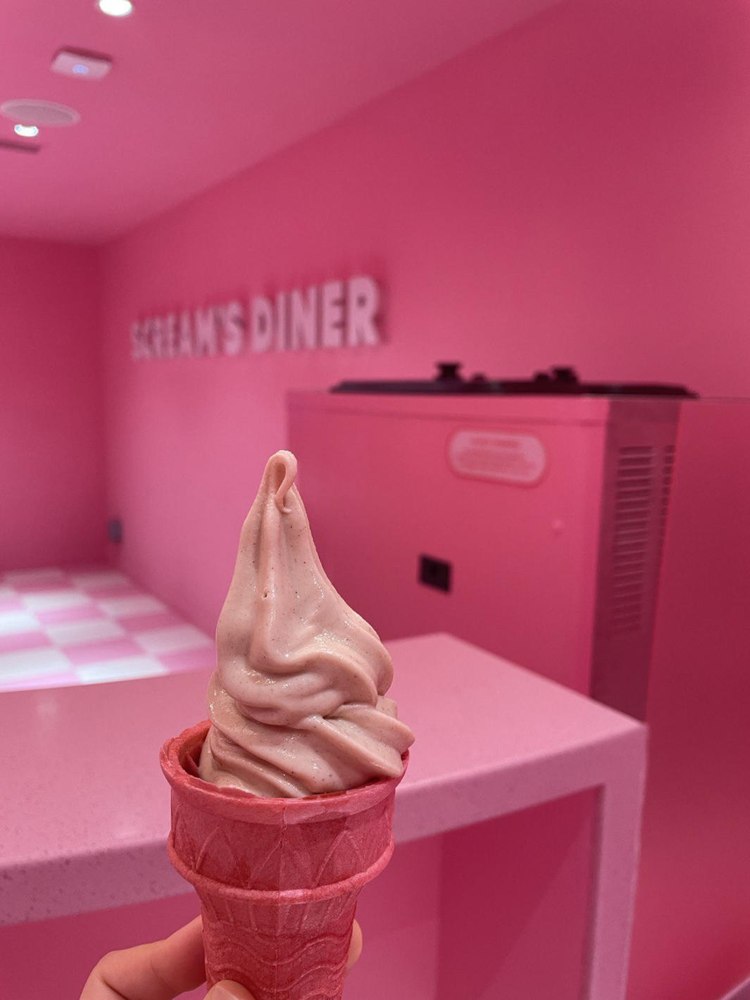 Museum of Ice-cream