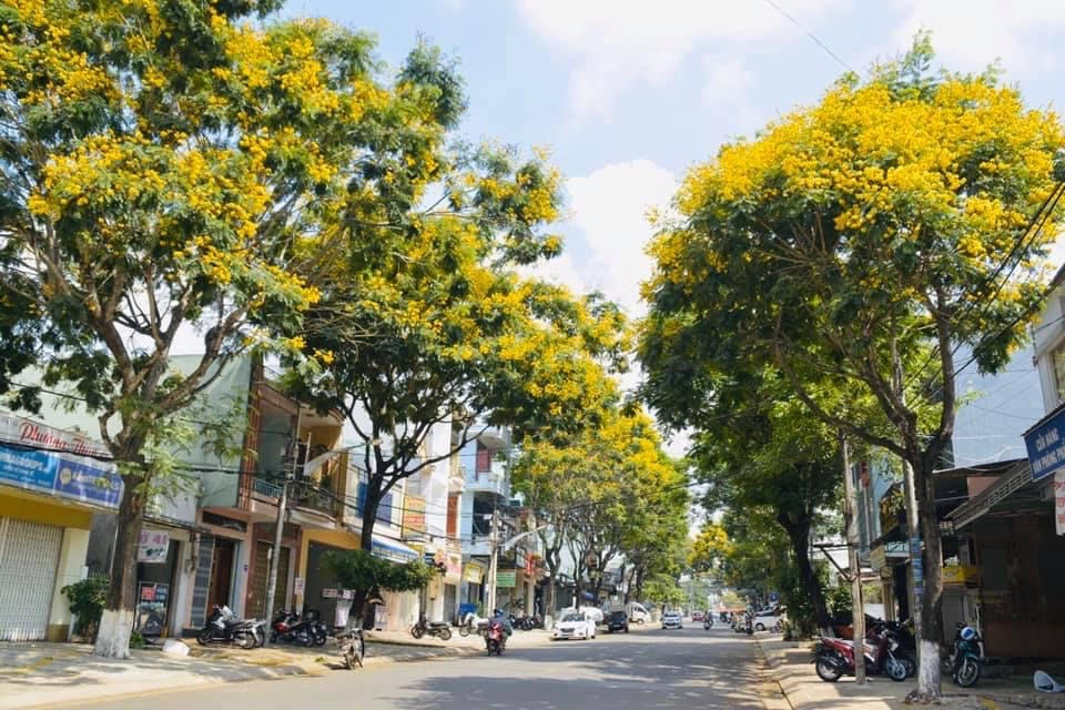 Khám phá "thành phố hoa vàng" Gia Nghĩa tại tỉnh Đăk Nông